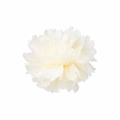 10inch Pom Pom (Cream)