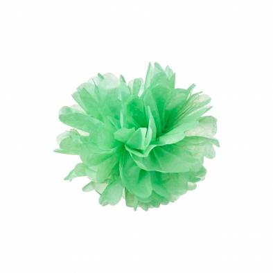 10inch Pom Pom (Light Green)