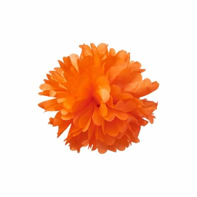 10inch Pom Pom (Orange)