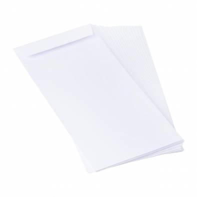 10.2cm x 23cm Envelope (20pcs)