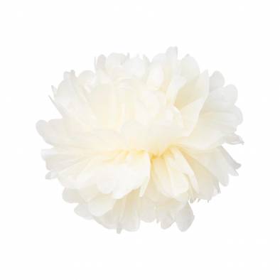 12inch Pom Pom (Cream)