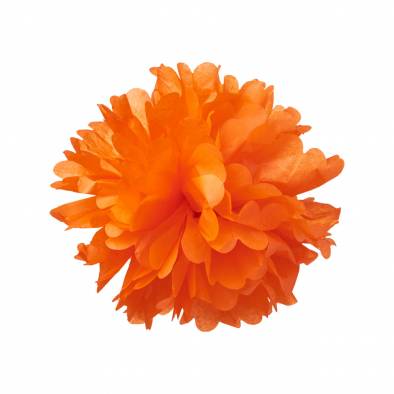 12inch Pom Pom (Orange)