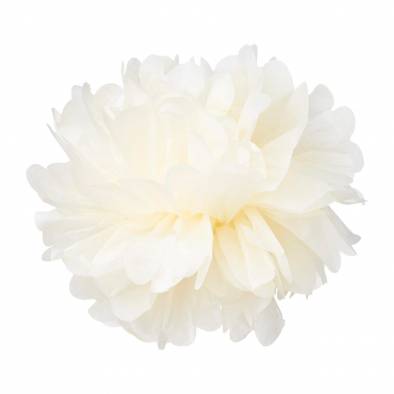 14inch Pom Pom (Cream)