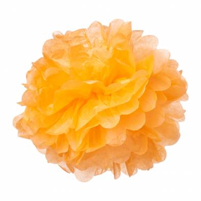 14inch Pom Pom (Light Orange)