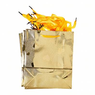 18x21.5cm Shiny Design Paper Bag (Gold) (12pcs)