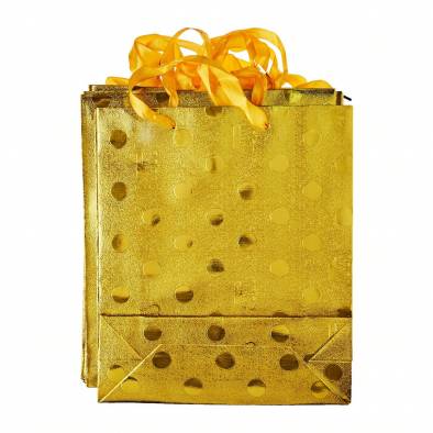 23x27cm Shiny Design Paper Bag (Gold) (12pcs)