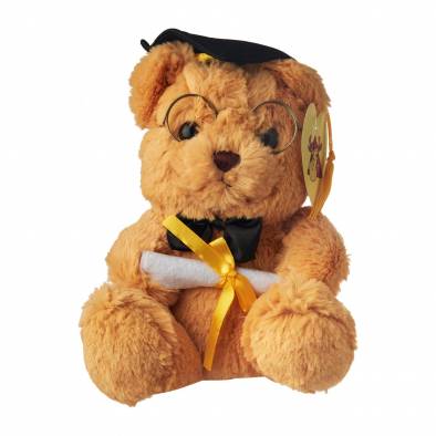 24cm Graduation Bear (Brown)