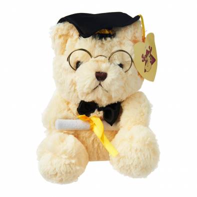 24cm Graduation Bear (Cream)
