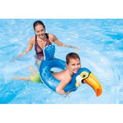Pool Accessories & Inflatables