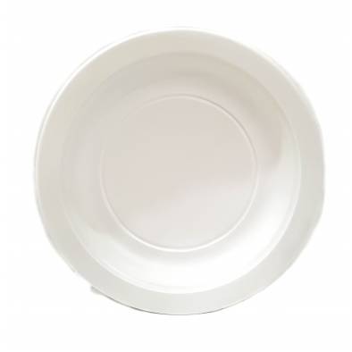 9" Biodegradable Plastic Plates (50pcs)