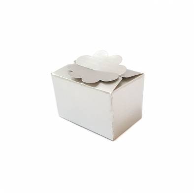 No. A-12 Rectangle Box (Silver) (50pcs)