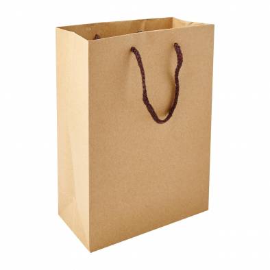20x28x10cm Brown Paper Bag