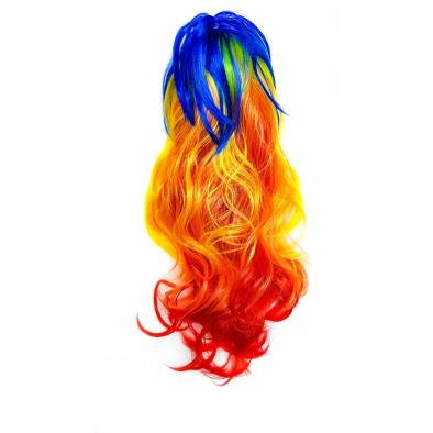 Long Straight Hair Wig (Rainbow Mixed)