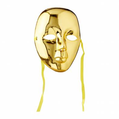 Hard Plastic Facemask