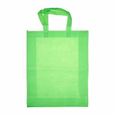 32cm x 40cm x 9cm Non Woven Bag (Green)