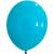 S41 Standard Turquoise