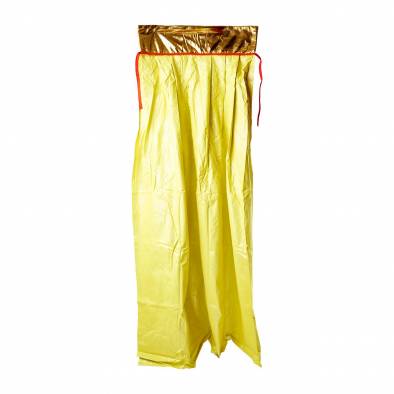 Shiny Cape (Gold)