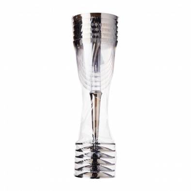 Silver Wine Glass (6pcs)