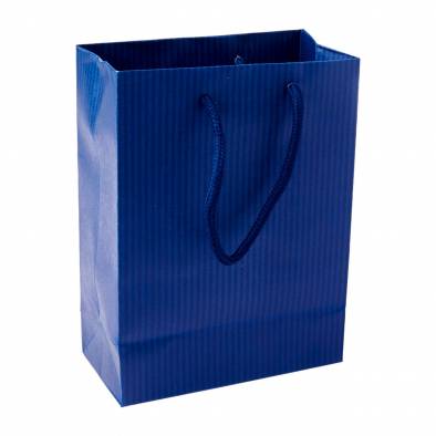 15x20x7.5cm Striped Paper Bag (Blue)