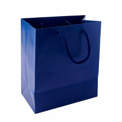 22x25x12cm Striped Paper Bag (Blue)