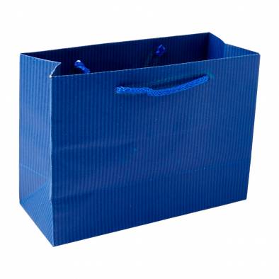 24x18x10.5cm Striped Paper Bag (Blue)