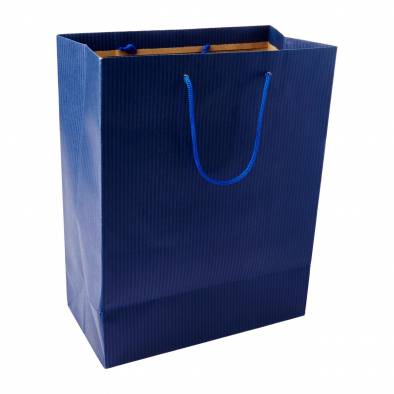 25.5x33x13cm Striped Paper Bag (Blue)