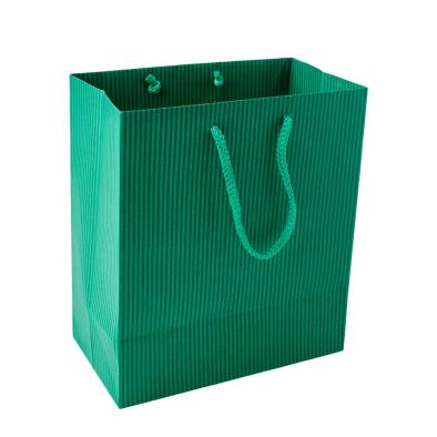 22x25x12cm Striped Paper Bag (Green)
