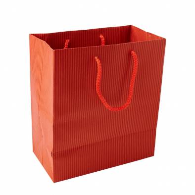 22x25x12cm  Striped Paper Bag (Red)