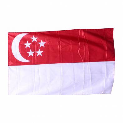 HDB Singapore Flag