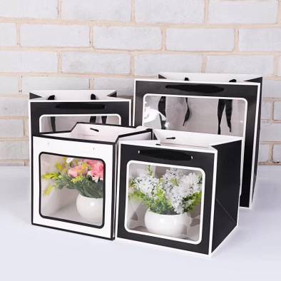 20x20x20cm Window Paper Bag (12pcs)