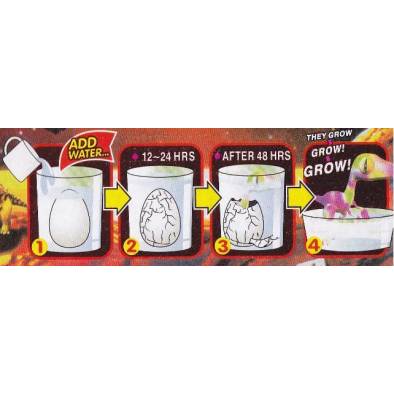 Toys & Gifts