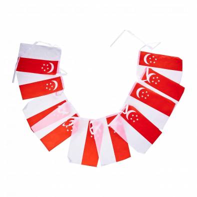 Nylon Singapore Flags Bunting (10)